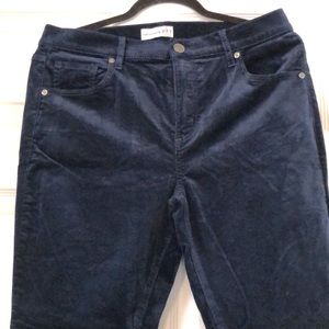 Loft 12p Navy blue velvet skinny pants